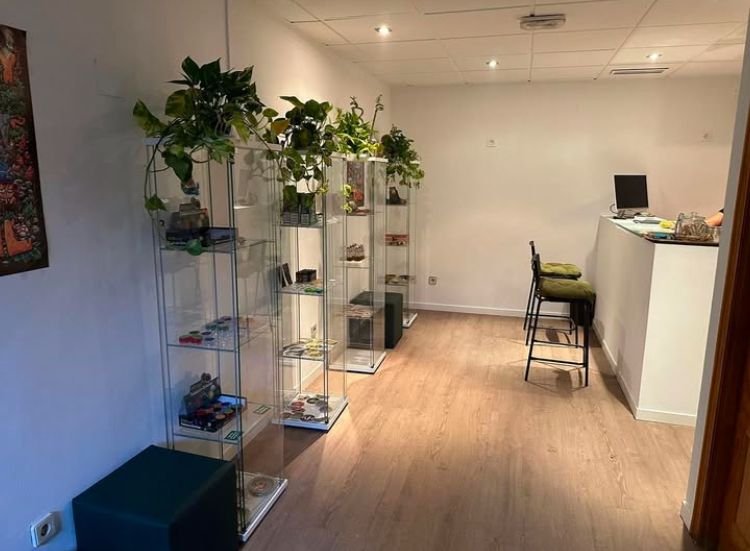 Bright lounge with plants inside Piti Weed Club Madrid